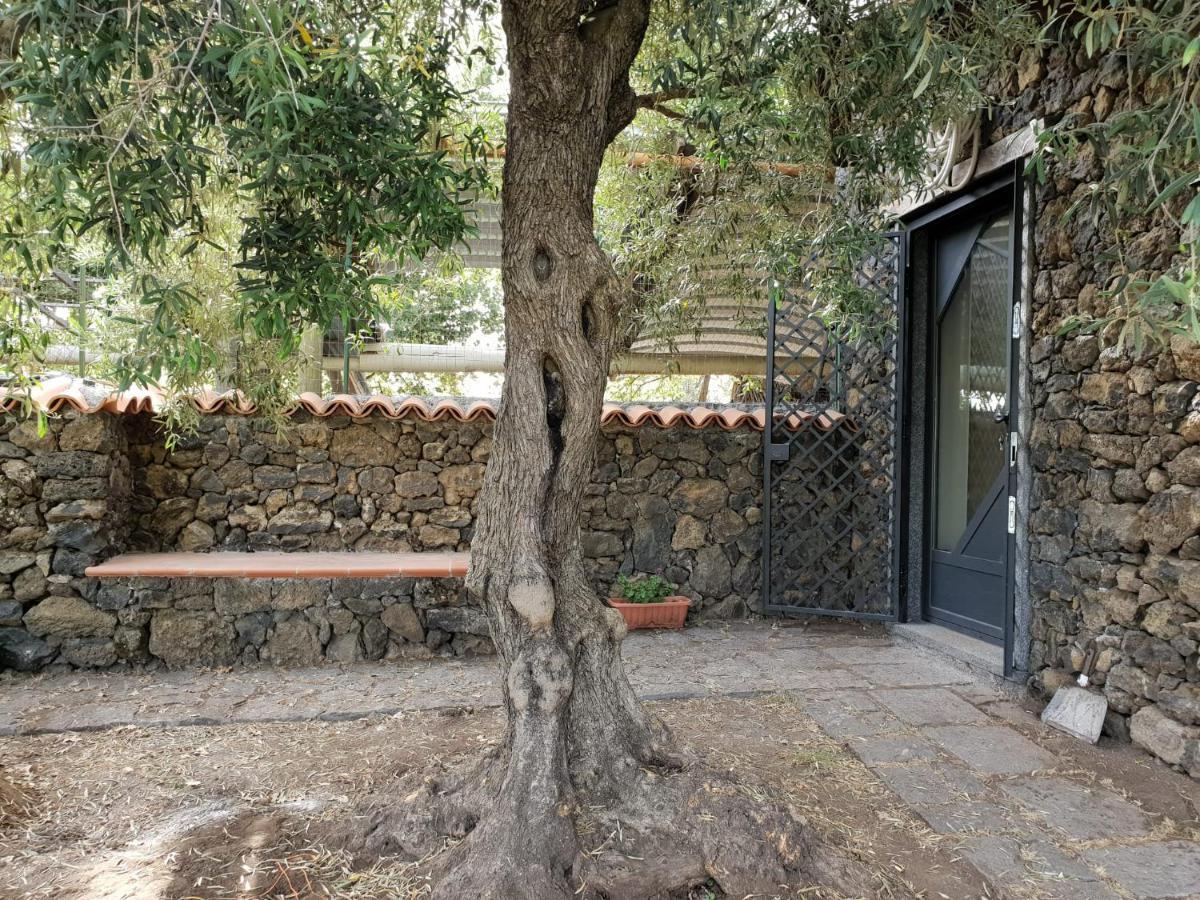 Ragalna Alle Pendici Dell'Etna מראה חיצוני תמונה